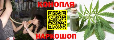 крисы Обь