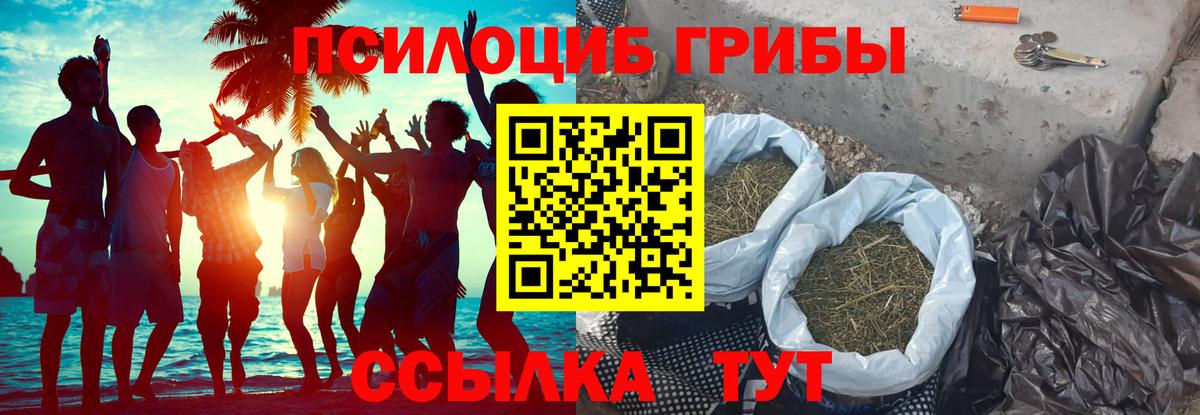 Псилоцибиновые грибы GOLDEN TEACHER Реутов